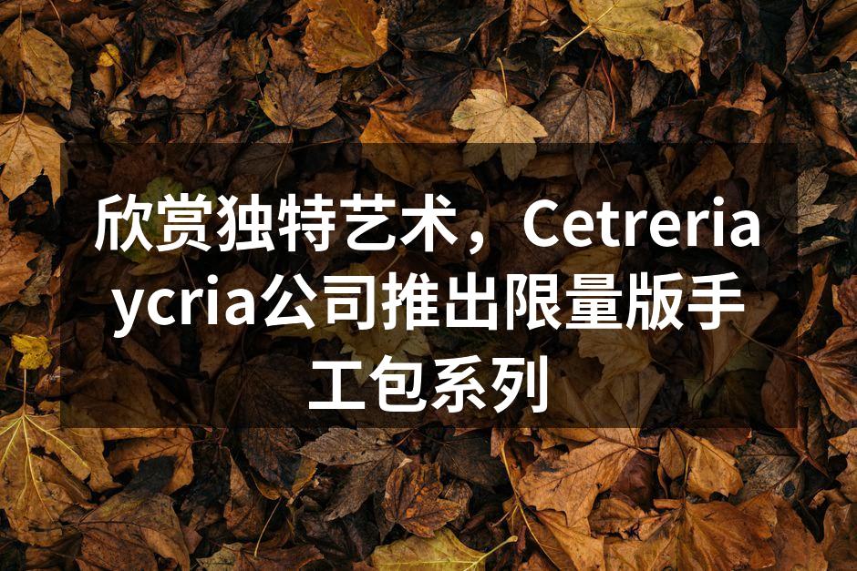 独特艺术设计的手工包系列